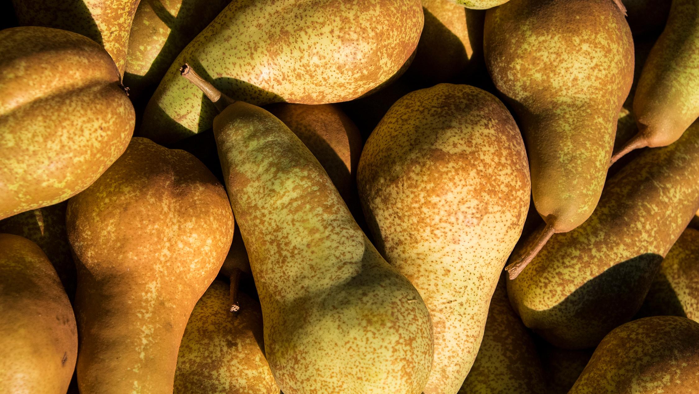 Illuminati frutta fresca da frutteto alla tavola, Foiano della Chiana (AR)