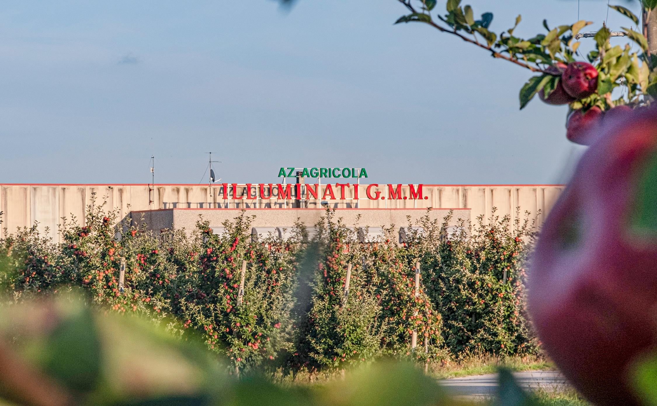 Come arrivare allo stabilimento GMM Illuminati, Vendita frutta in Toscana