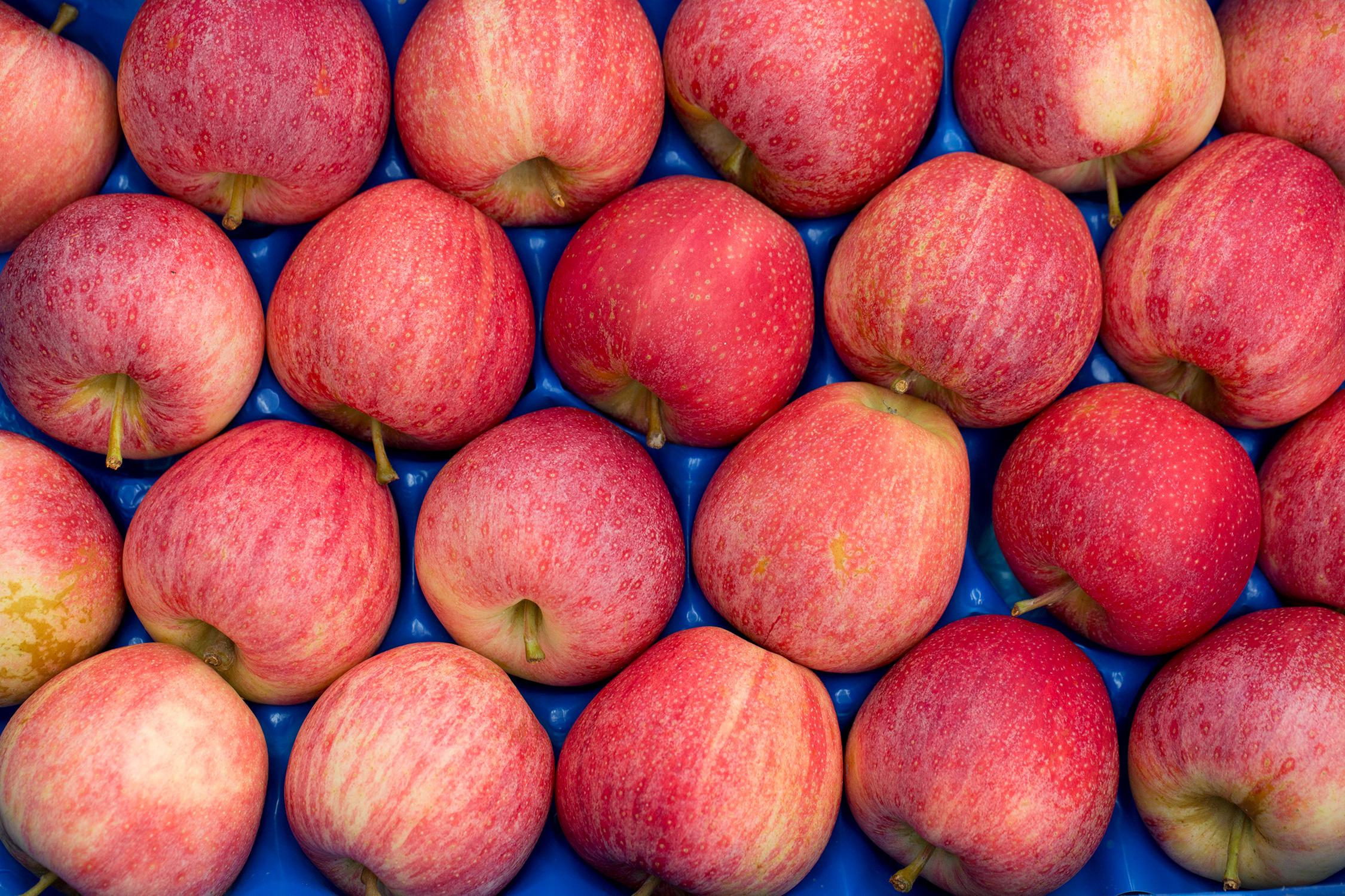 Produzione frutta sostenibile certificata in Toscana | Illuminati G.M.M.