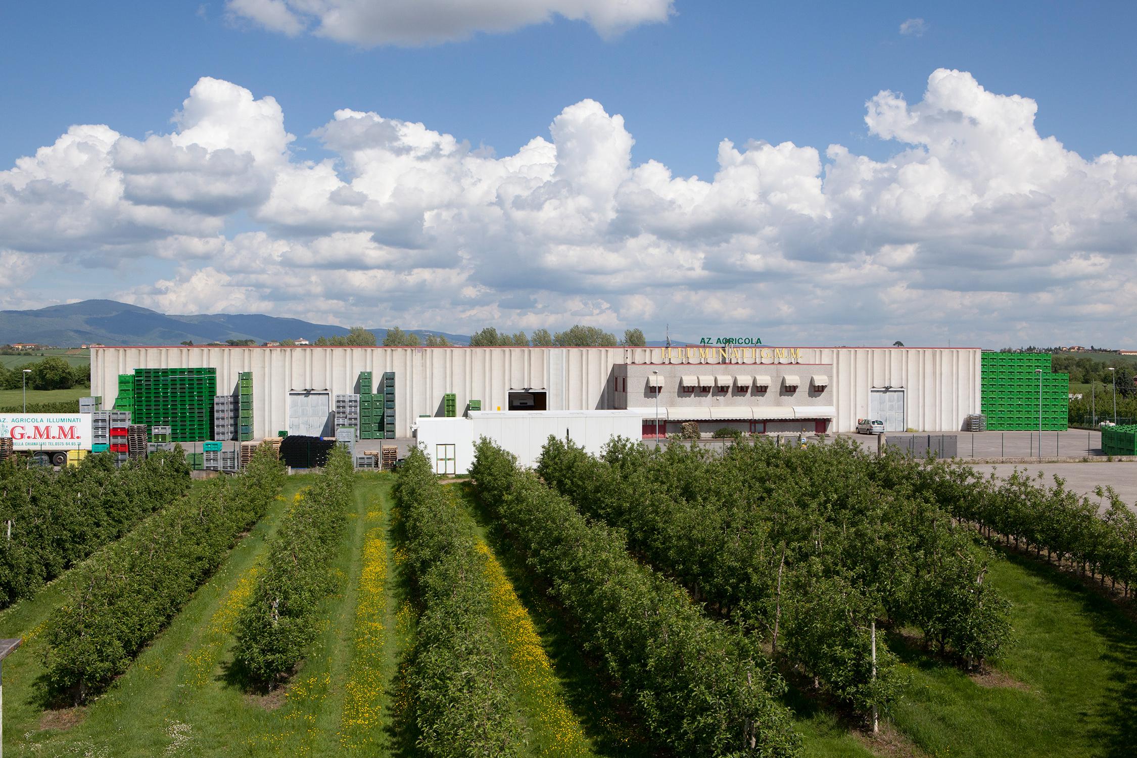 Produzione frutta sostenibile certificata in Toscana | Illuminati G.M.M.